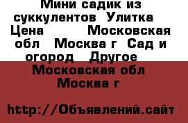 Мини-садик из суккулентов “Улитка“ › Цена ­ 400 - Московская обл., Москва г. Сад и огород » Другое   . Московская обл.,Москва г.